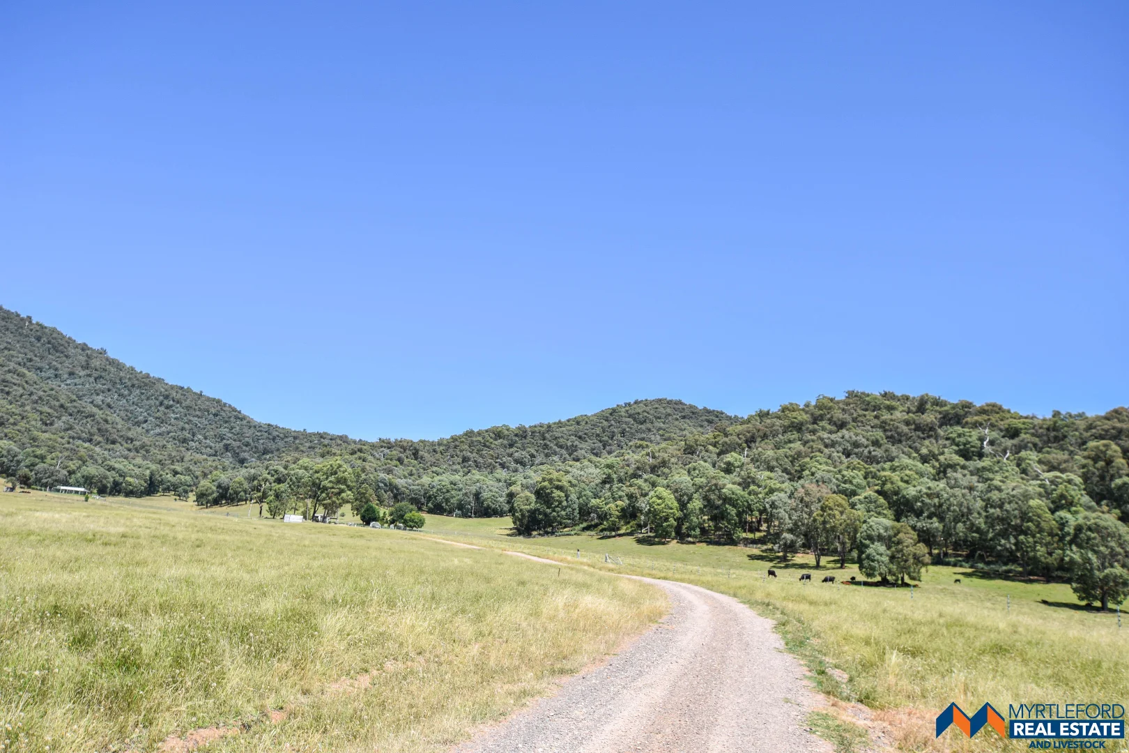 Additional image 12 of 820 Buffalo Creek Road, Myrtleford VIC 3737