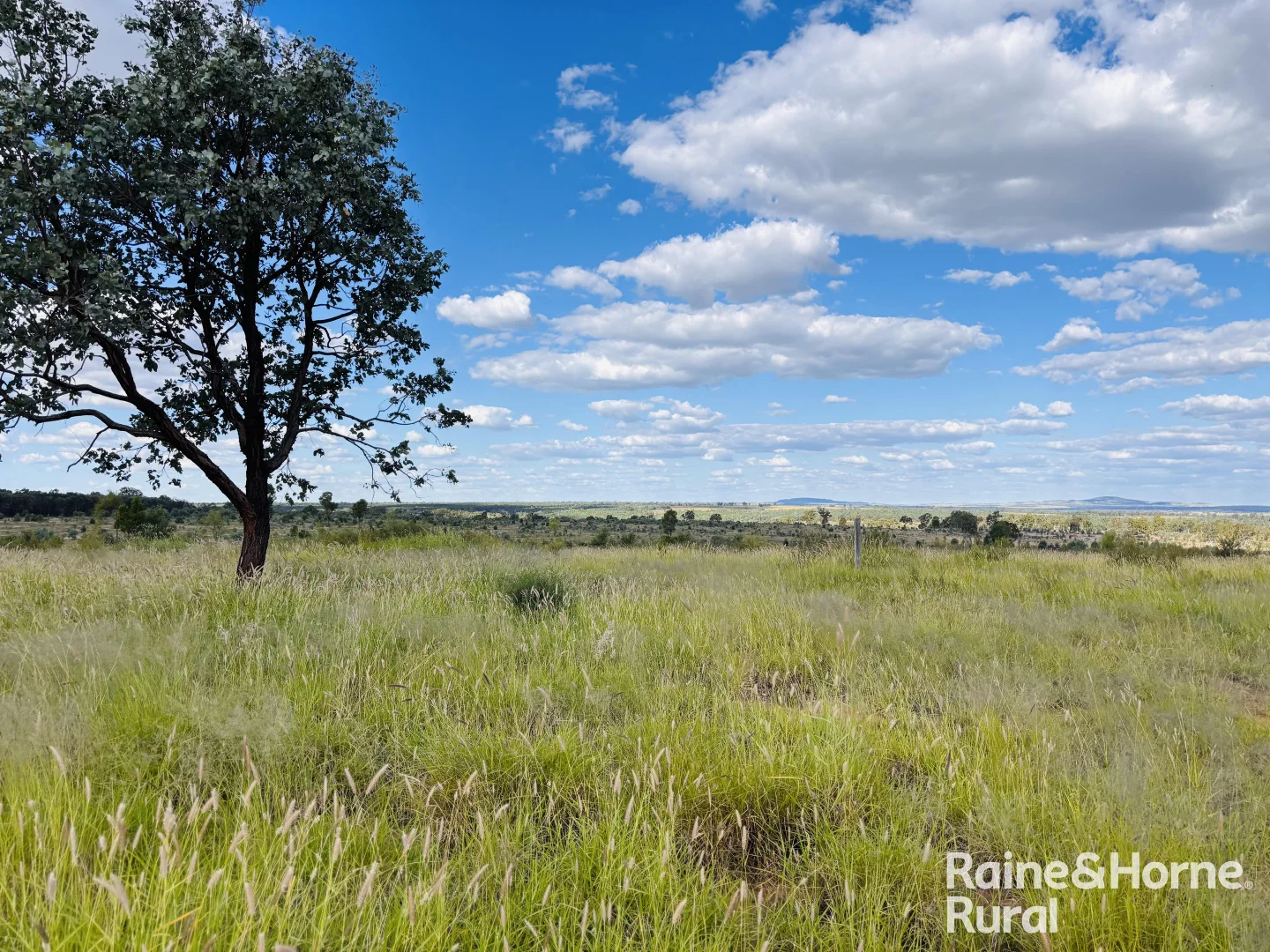 Additional image 4 of 640 Carrington Road, Roma QLD 4455