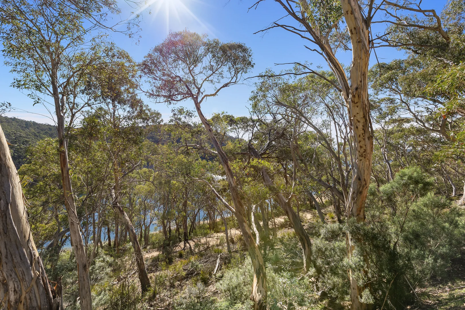 Additional image 15 of 1 Happy Jacks Road, Eucumbene NSW 2628