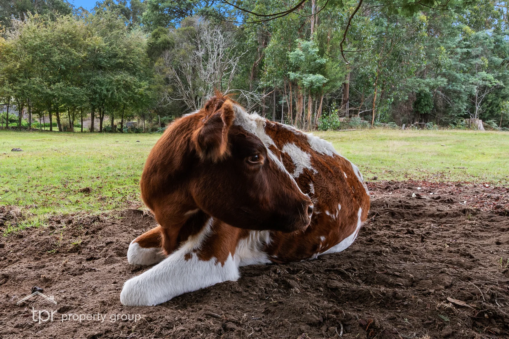 Additional image 28 of 19 McClyments Road, Raminea TAS 7109