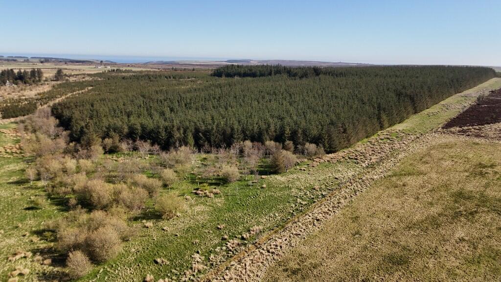 Additional image 3 of Woodland at Broadmuir, Hill of Fisherie, Turriff, AB53 5QL