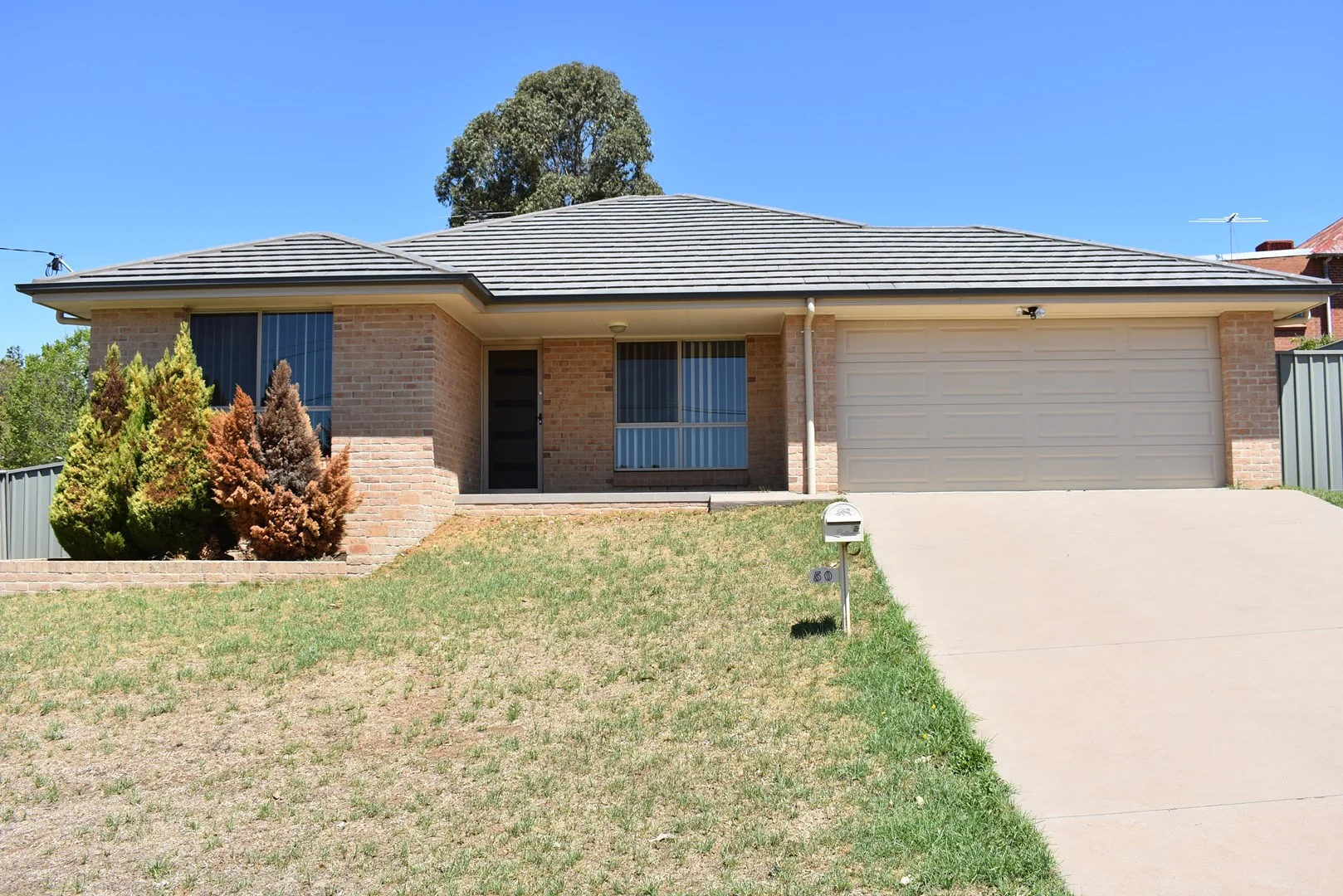50 Berthong Street, Young NSW 2594