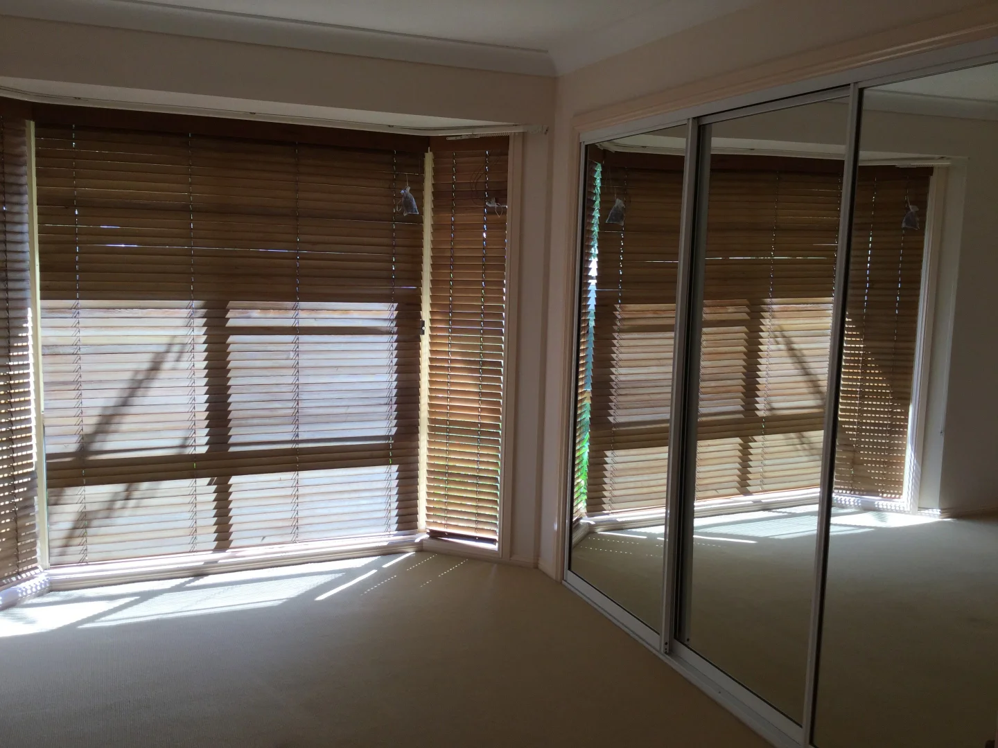 Additional image 4 of 14 Albion Place, Orange NSW 2800