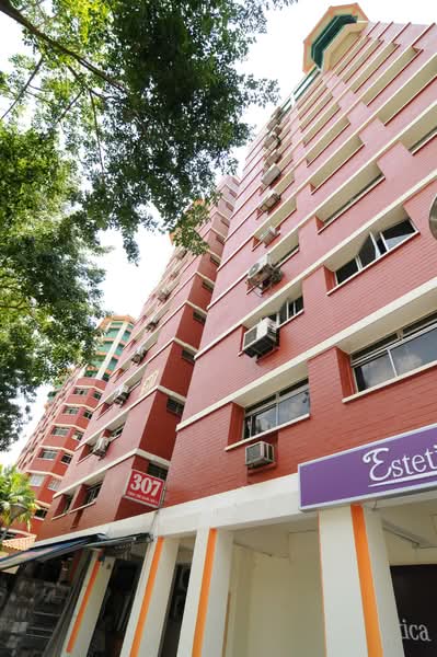 307 Choa Chu Kang Avenue 4 photo 5