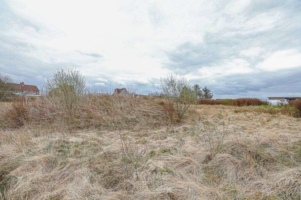 Additional image 8 of Land for saleLand On Muirlaun, Forth, Lanark ML11