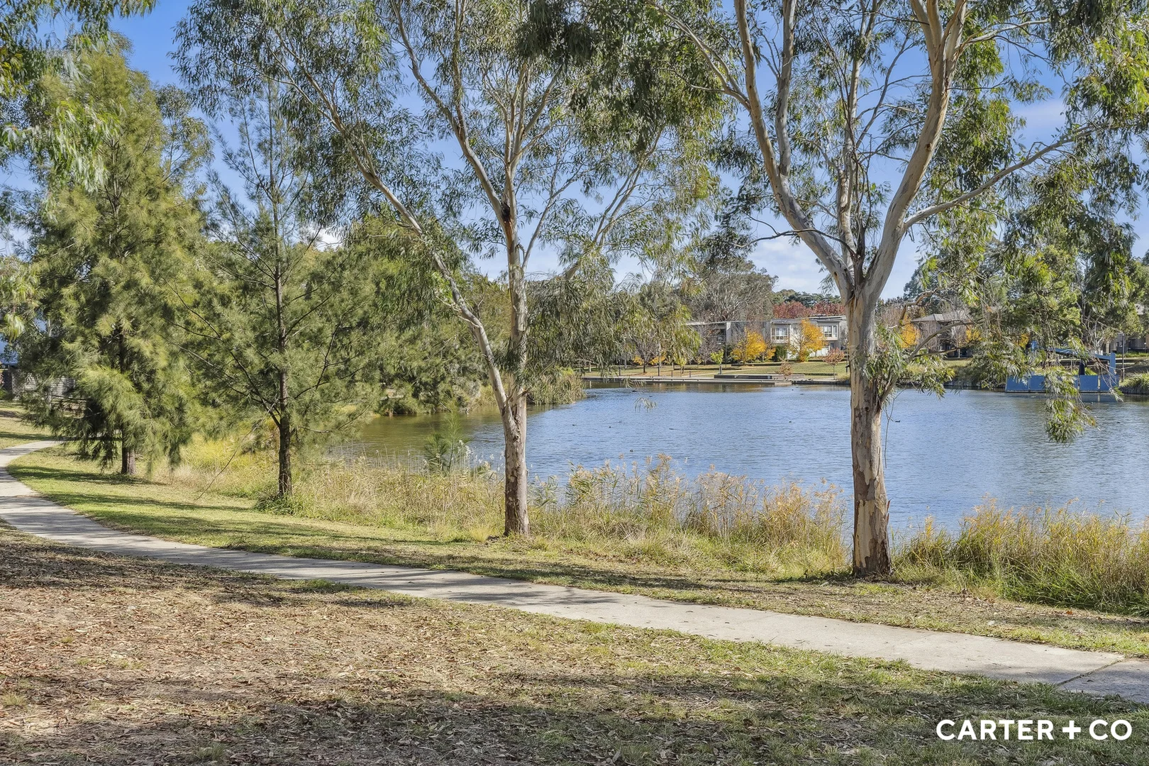 Additional image 33 of 8/15 Dickins Street, Forde ACT 2914