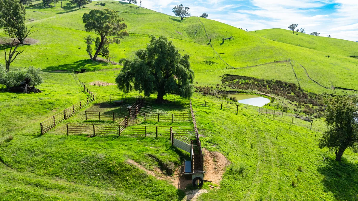 Additional image 15 of Sandy Creek Road, Sandy Creek VIC 3695