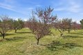 Additional image 31 of 7624 E Avenue U, Littlerock, CA, 93543