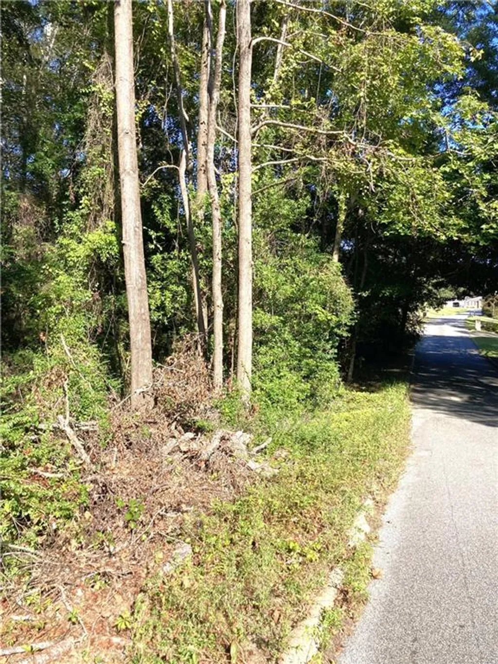 Additional image 7 of Big Spring Drive, Phenix City, AL 36870