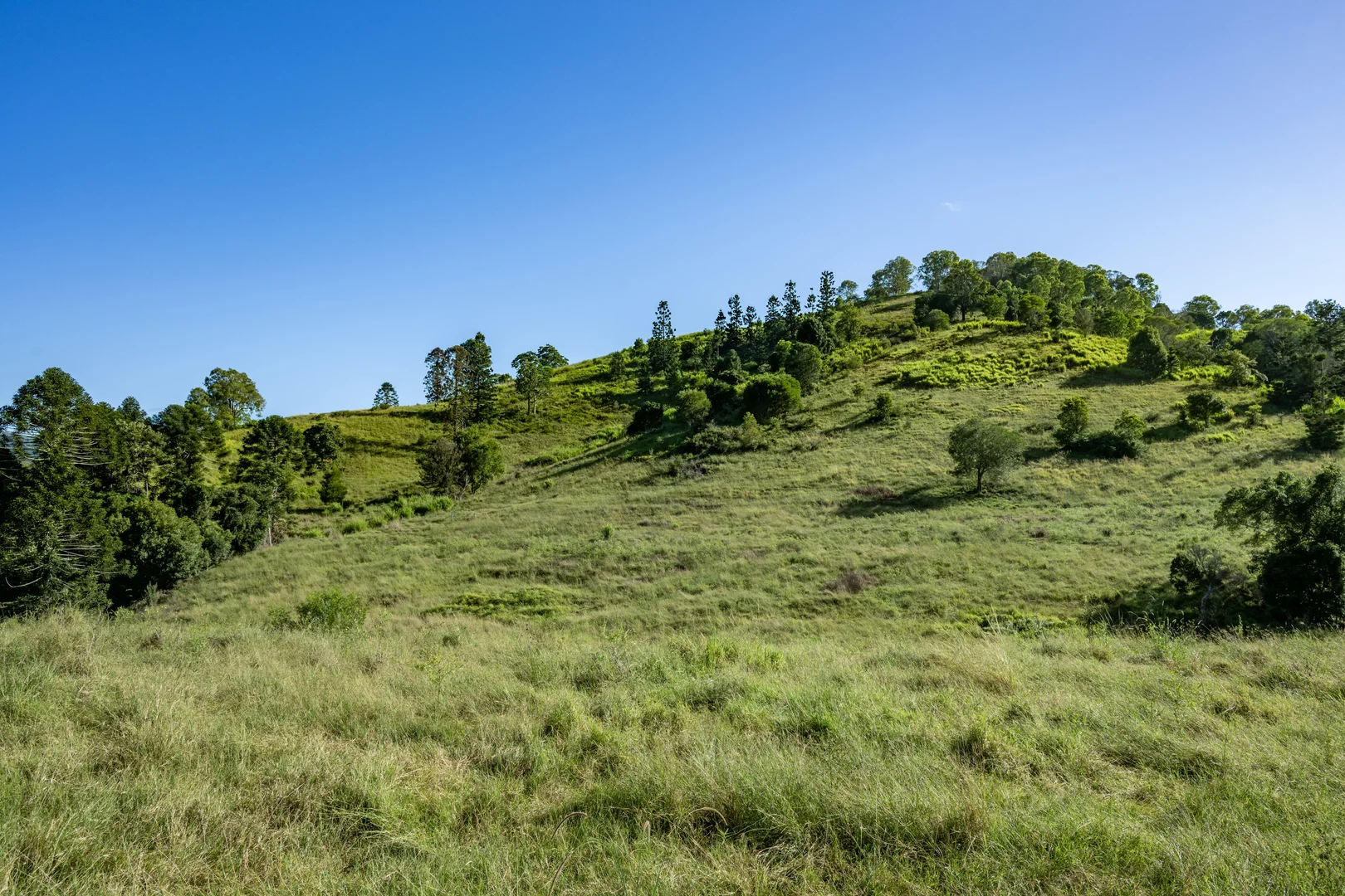 Additional image 12 of 55 Jerry Creek Road, Langshaw QLD 4570