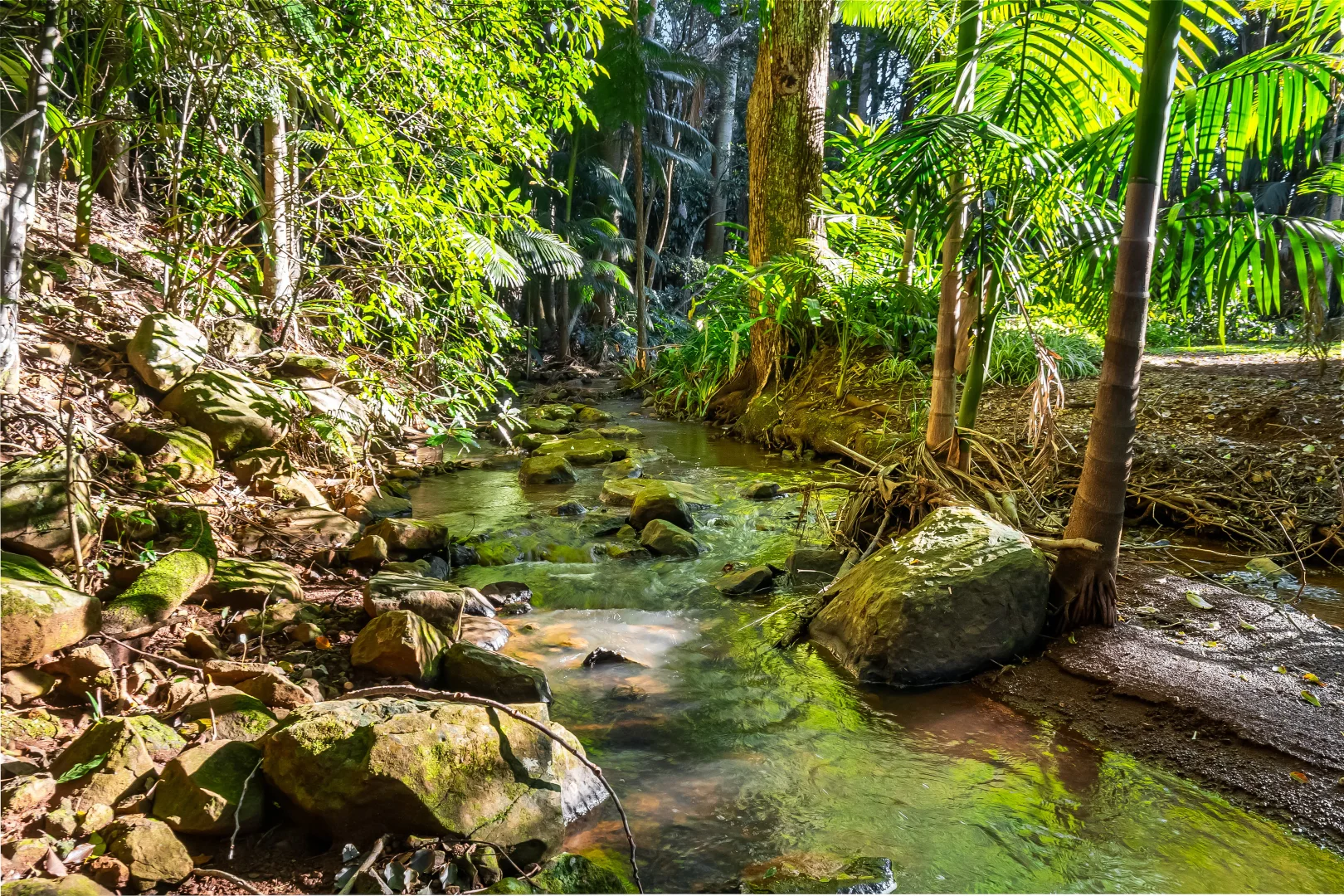 Additional image 12 of 493 Friday Hut Road, Brooklet NSW 2479