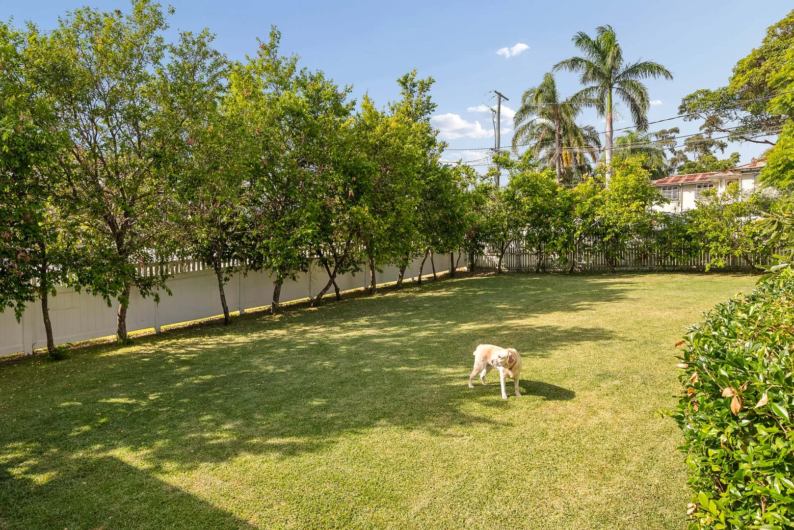 Additional image 18 of 6 Bernecker Street, Carina QLD 4152
