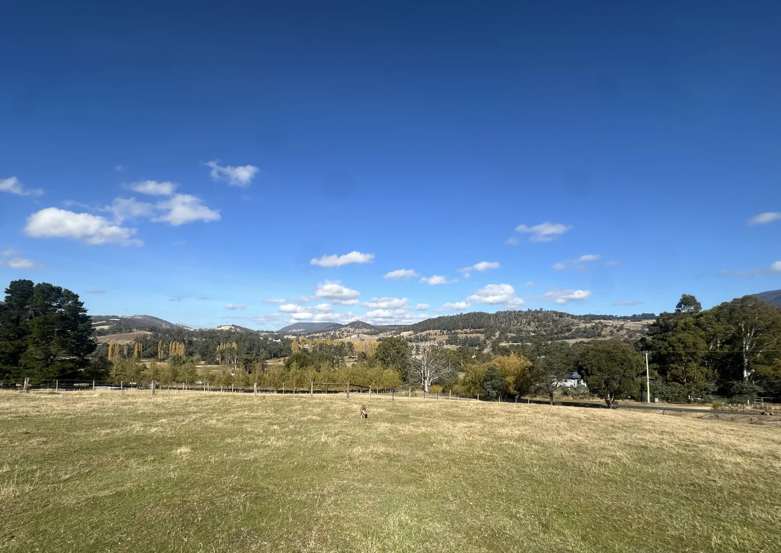 Additional image 5 of 1206 Ellendale Rd, Ellendale TAS 7140