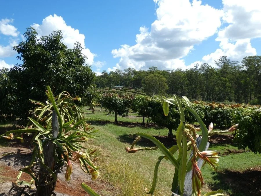Additional image 26 of 86 Simpsons Road, Bullyard QLD 4671