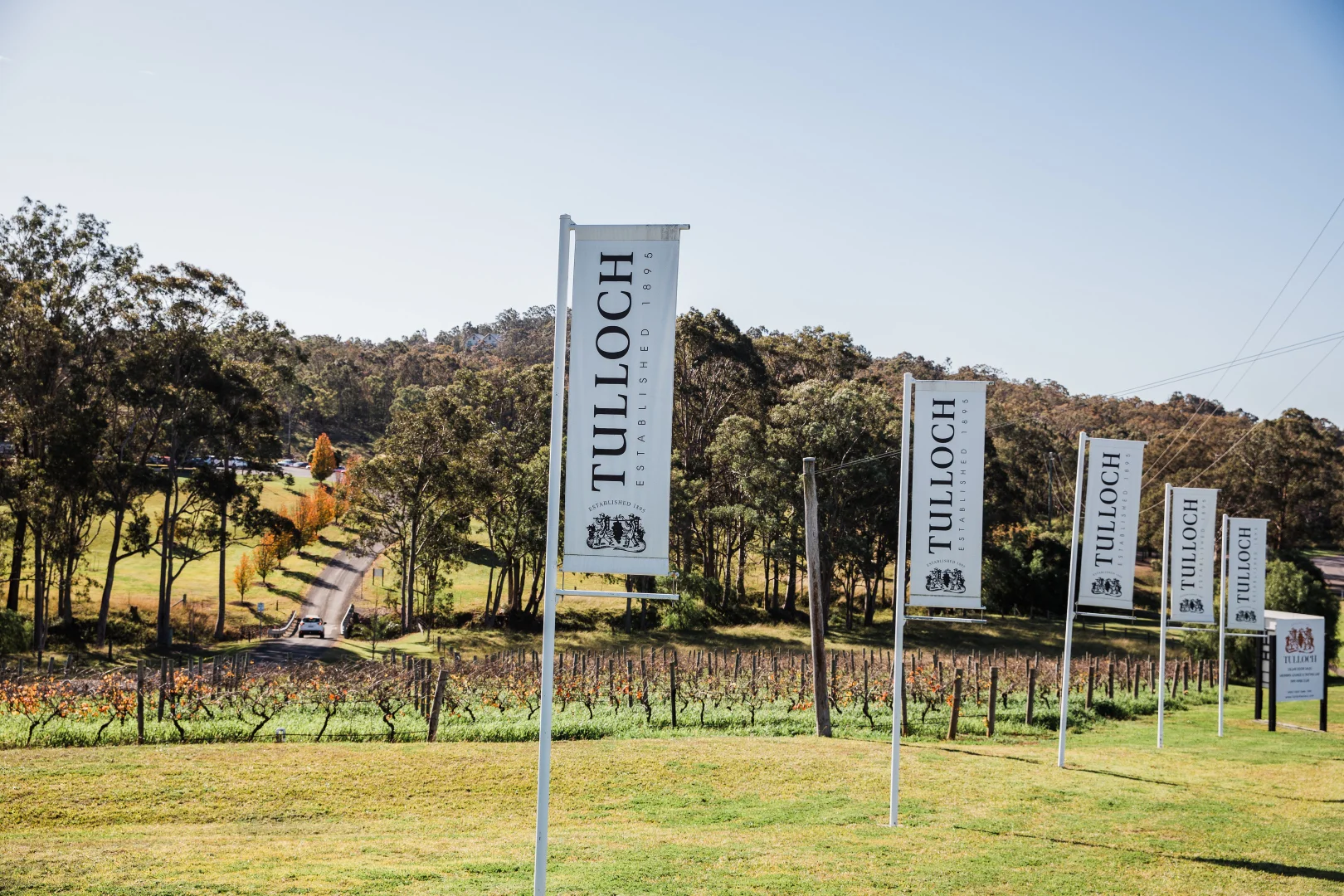 Additional image 2 of 638 De Beyers Road, Pokolbin NSW 2320