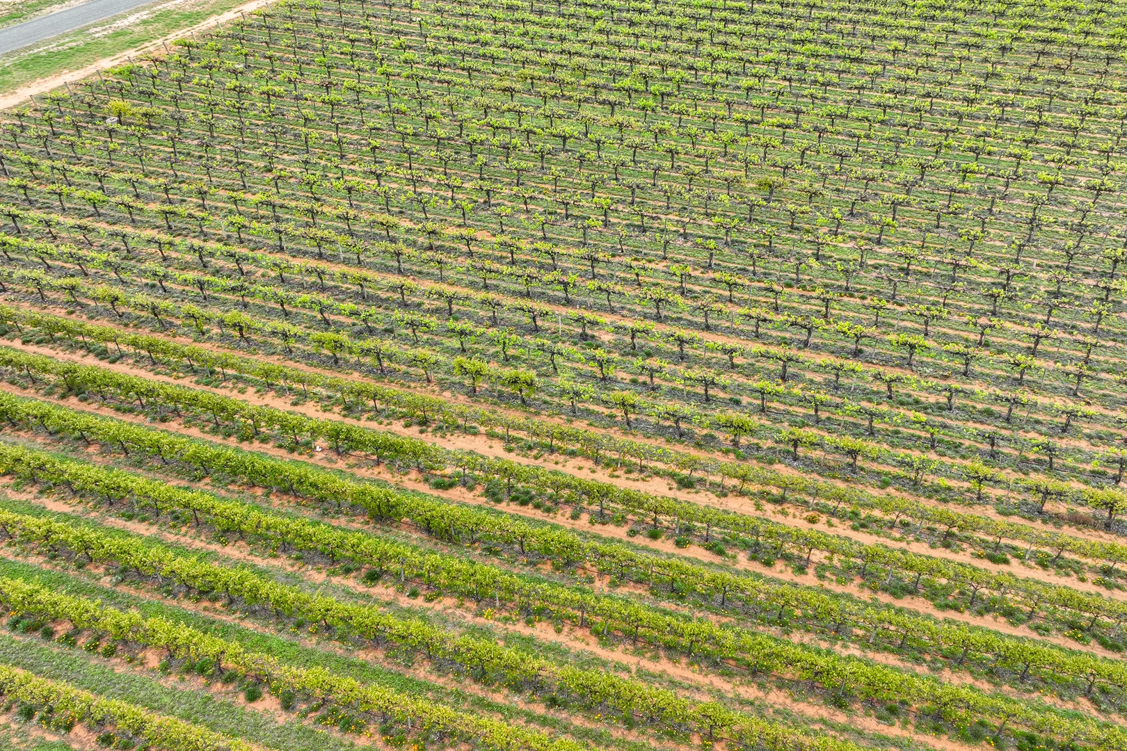Additional image 7 of Lot 15 Rattey Road, Loxton SA 5333