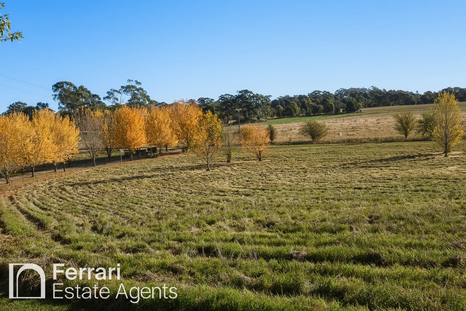 Additional image 41 of 125 Burtons Lane, Orange NSW 2800