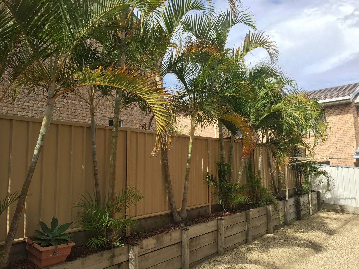 Additional image 5 of 3/66 Smith Street, Charlestown NSW 2290