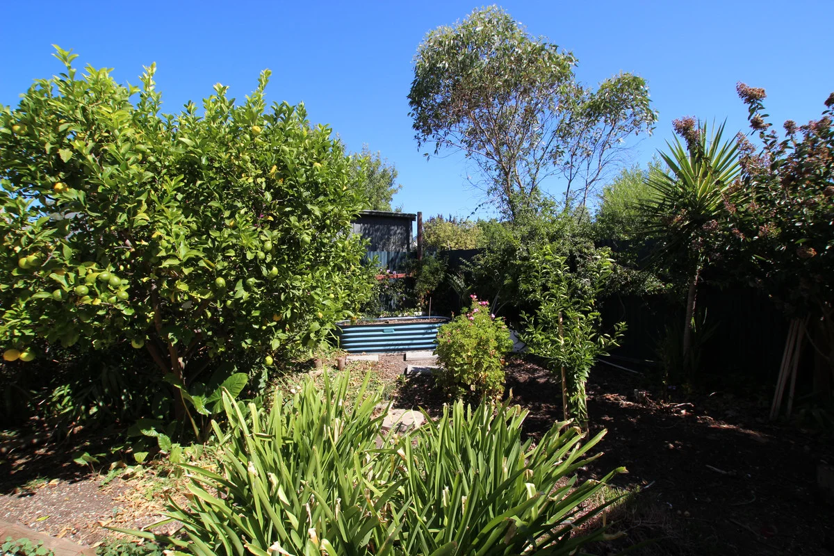 Additional image 9 of 31 Kangarilla Road, McLaren Vale SA 5171