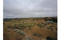 Additional image 13 of 205 Castro Canyon Rd, Cuyama, CA, 93252