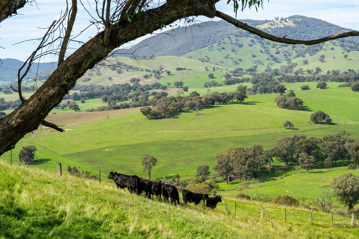 Additional image 10 of Sandy Creek Road, Sandy Creek VIC 3695
