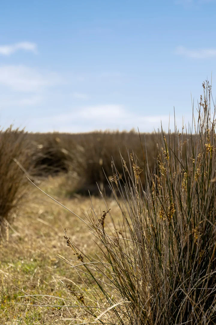 Additional image 10 of 390A Stanlakes Road, Lang Lang VIC 3984
