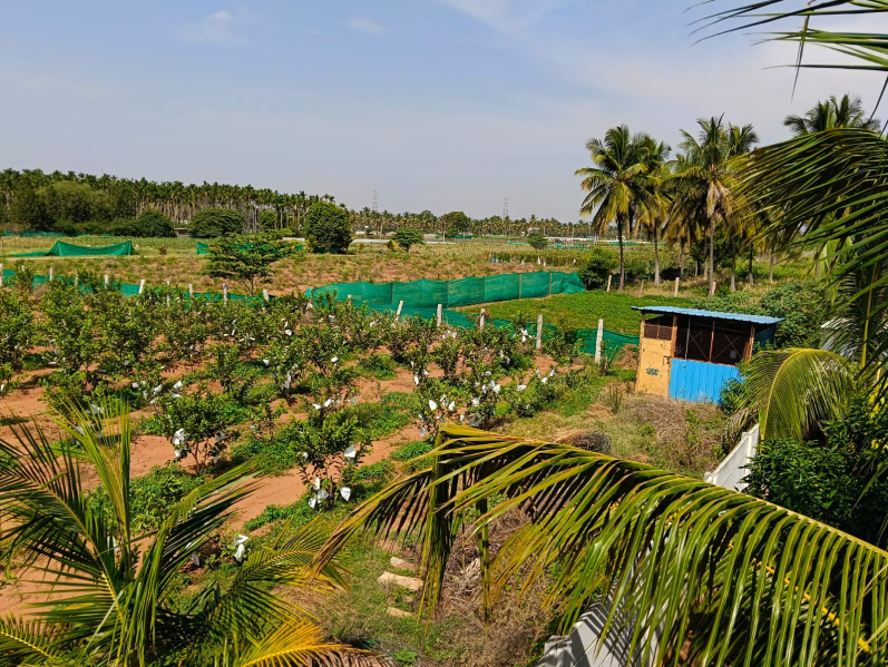 Additional image 3 of Yelahanka, Bangalore