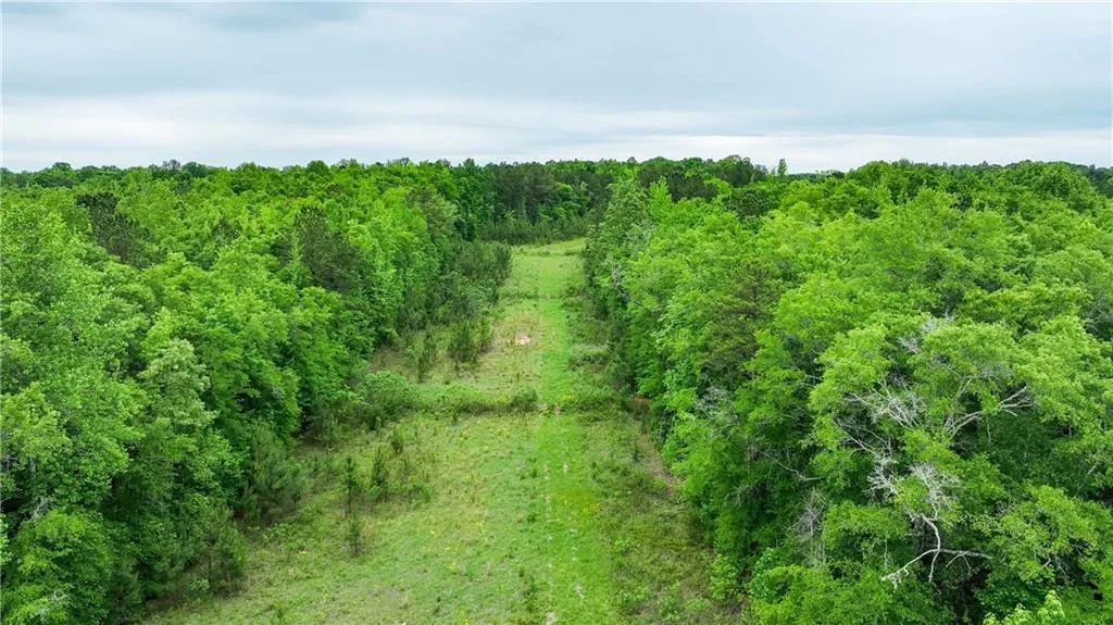 Additional image 55 of 1850 Lee Rd 140, Salem, AL 36874