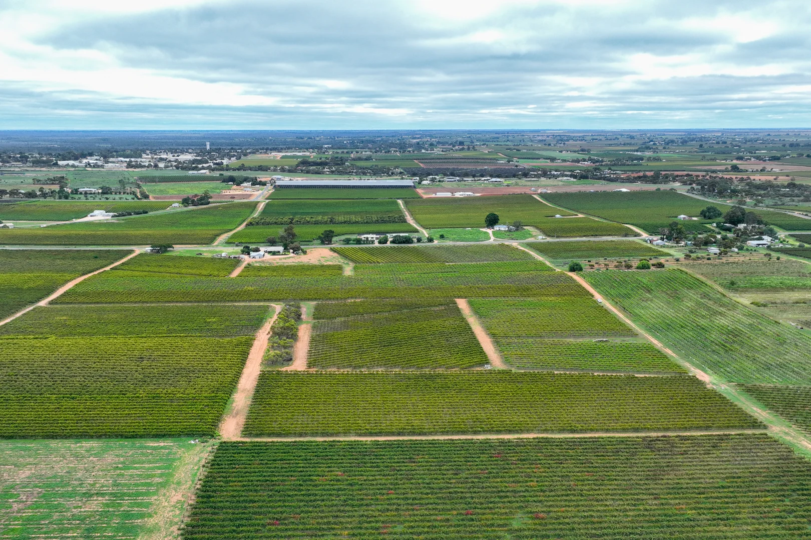 Additional image 3 of Lot 15 Rattey Road, Loxton SA 5333