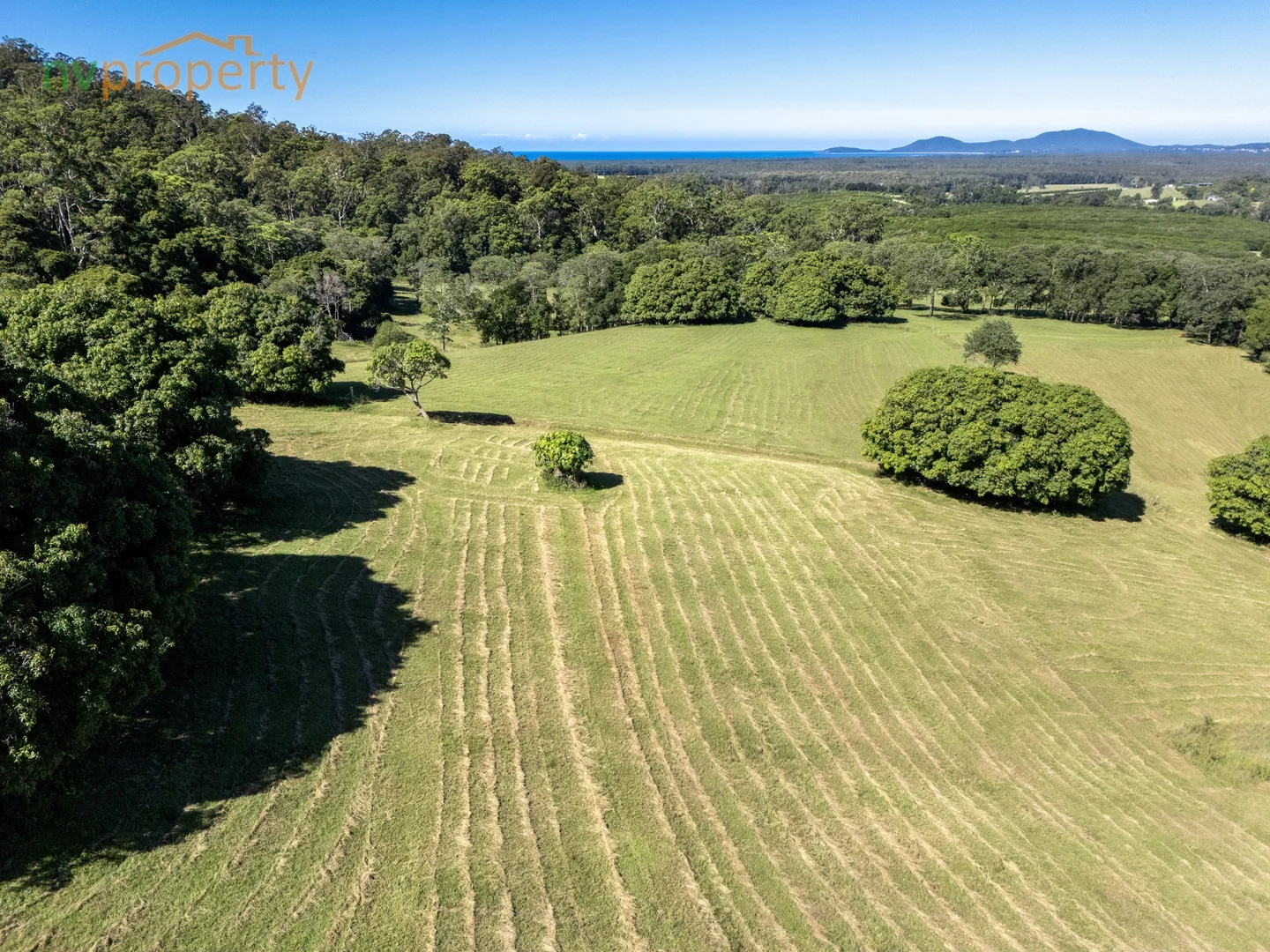 Additional image 19 of 145 Hunters Road, Yarrahapinni NSW 2441