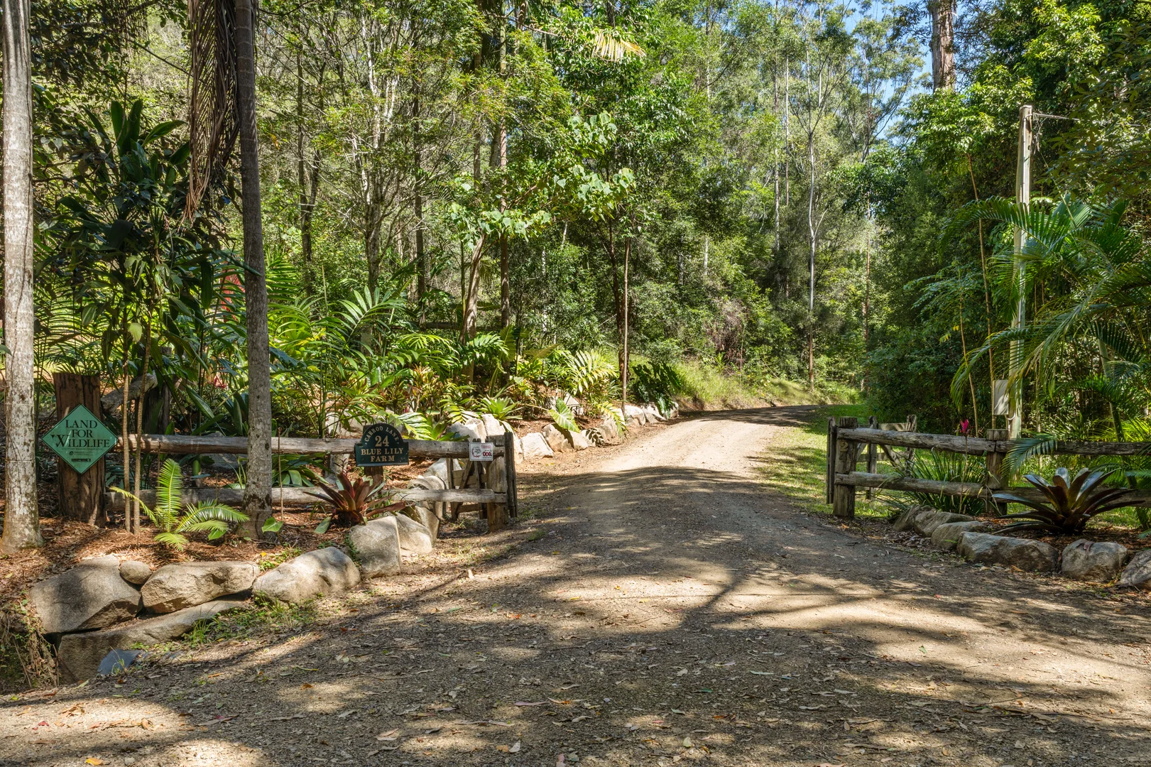 Additional image 6 of 24 Carroo Lane, Ridgewood QLD 4563