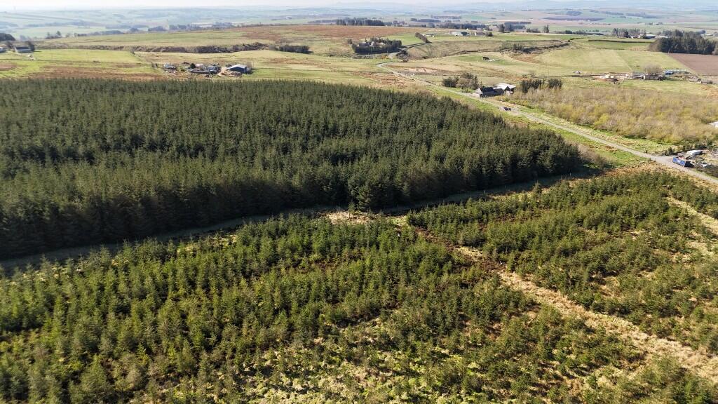 Additional image 12 of Woodland at Broadmuir, Hill of Fisherie, Turriff, AB53 5QL