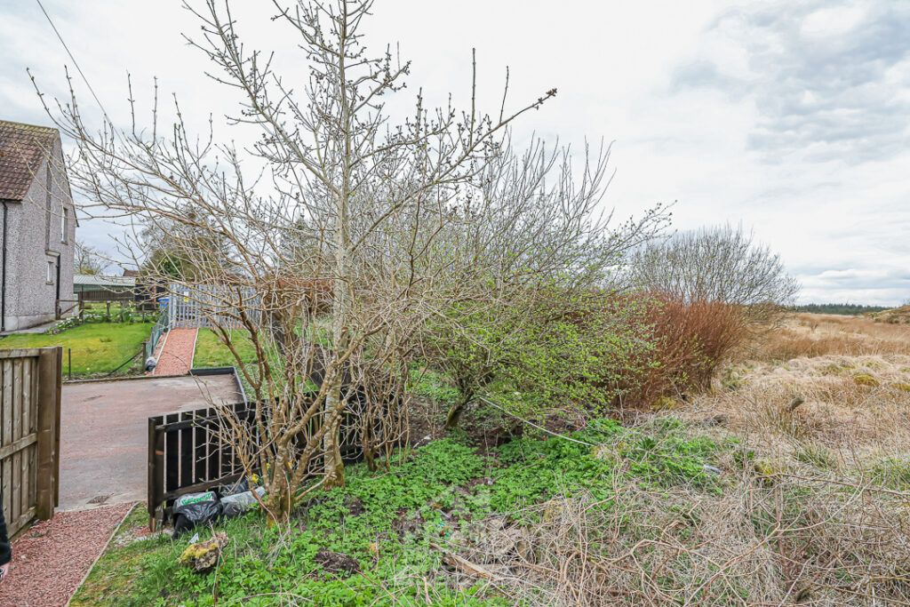 Additional image 6 of Land for saleLand On Muirlaun, Forth, Lanark ML11
