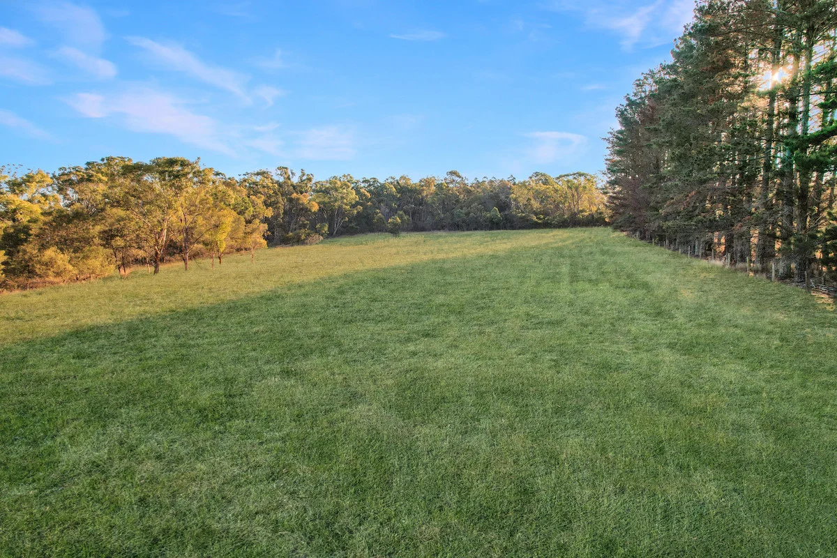 Additional image 30 of 145 Rogers Road, Applethorpe QLD 4378