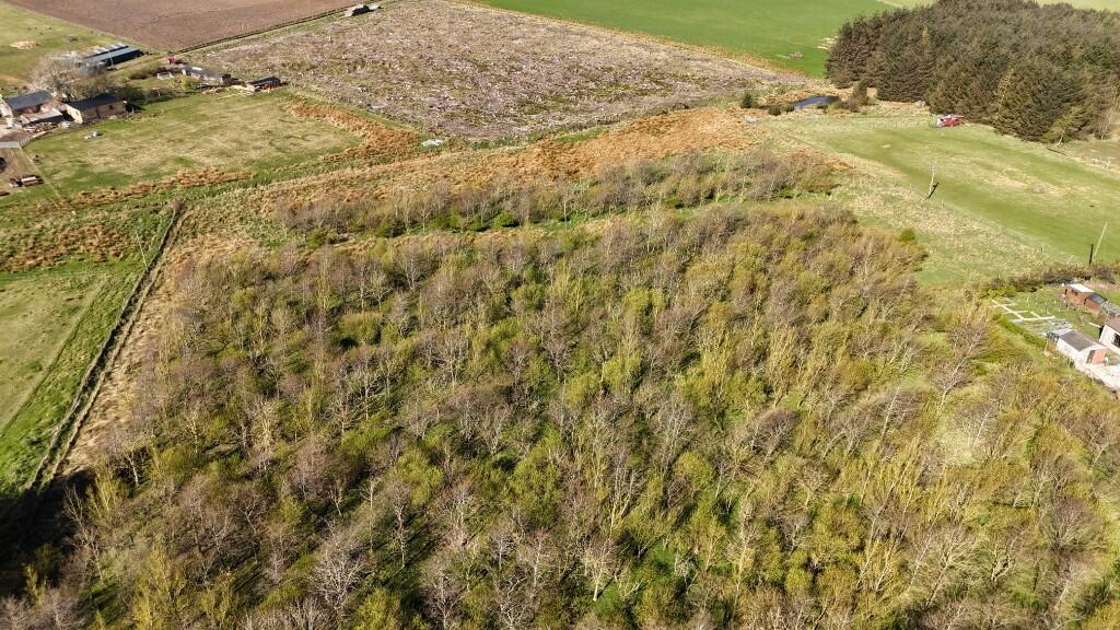 Additional image 5 of Lot 2 Woodland at Broadmuir, Hill of Fisherie, Turriff, AB53 5QL