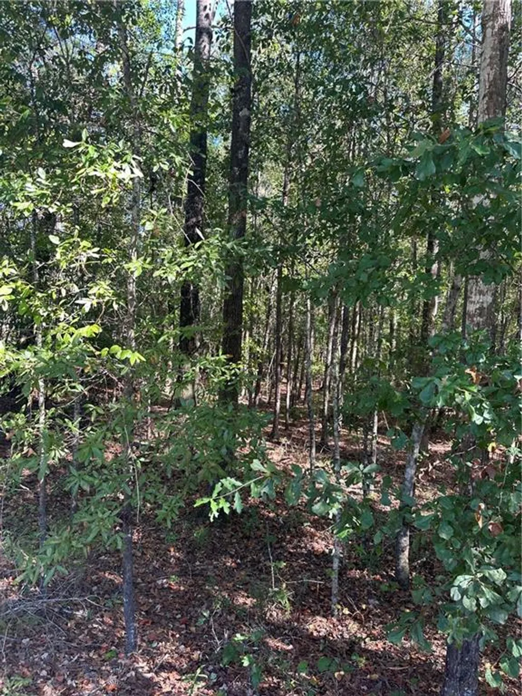 Additional image 5 of Lee Rd 288, Smiths Station, AL 36877