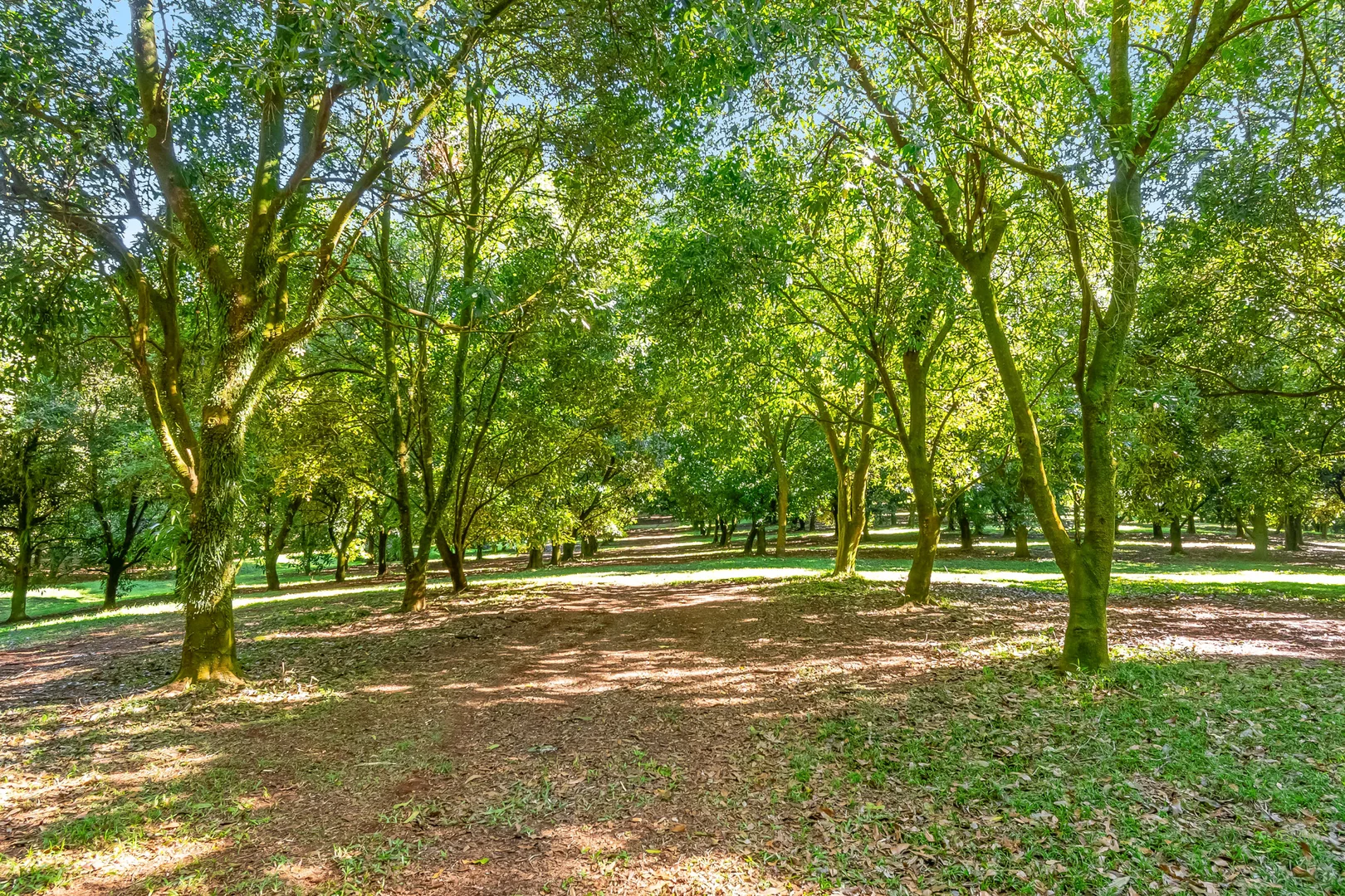 Additional image 26 of 493 Friday Hut Road, Brooklet NSW 2479