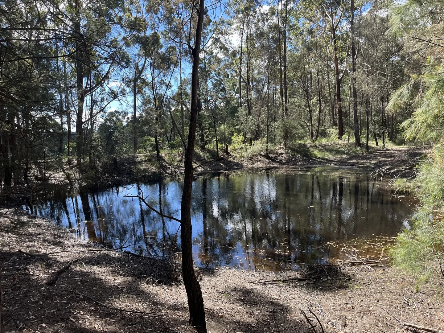 Additional image 23 of 264 Back Creek Road, Nethercote NSW 2549