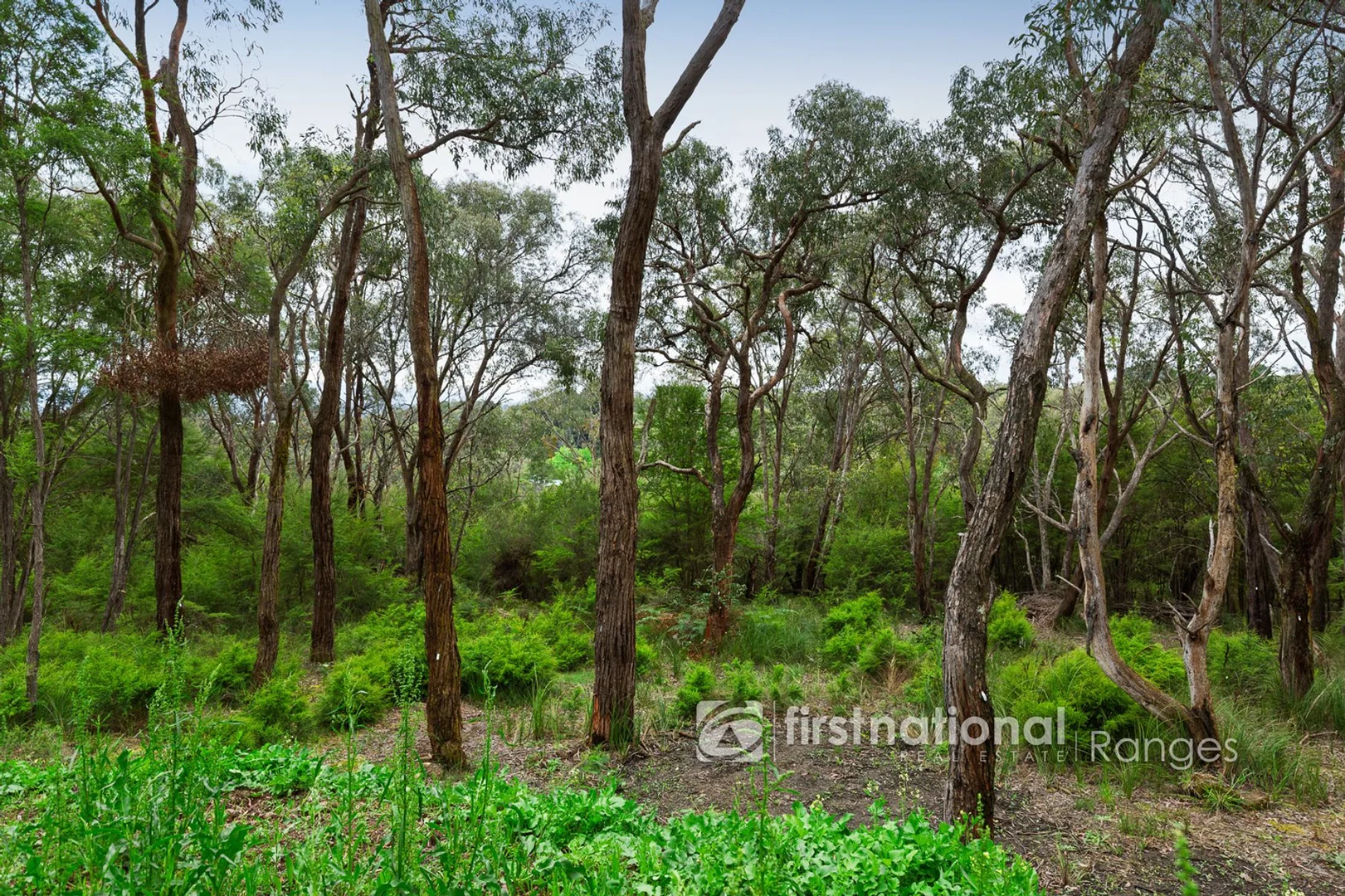 Additional image 2 of 50 Bedford Road, Cockatoo VIC 3781