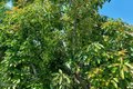 Additional image 81 of 1917 Brittany Park Rd, Camarillo, CA, 93012