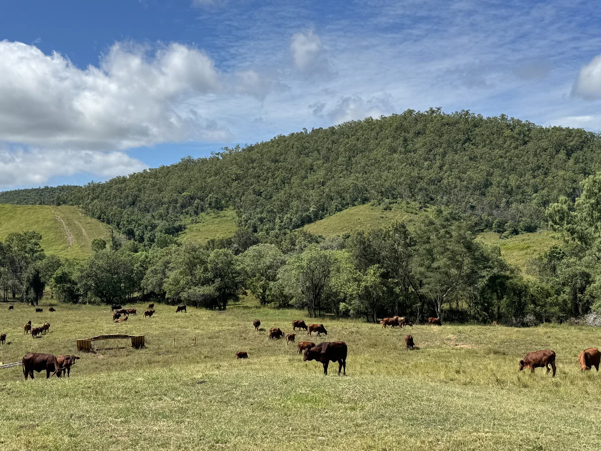 Additional image 19 of 500 Exmoor Road, Bloomsbury QLD 4799