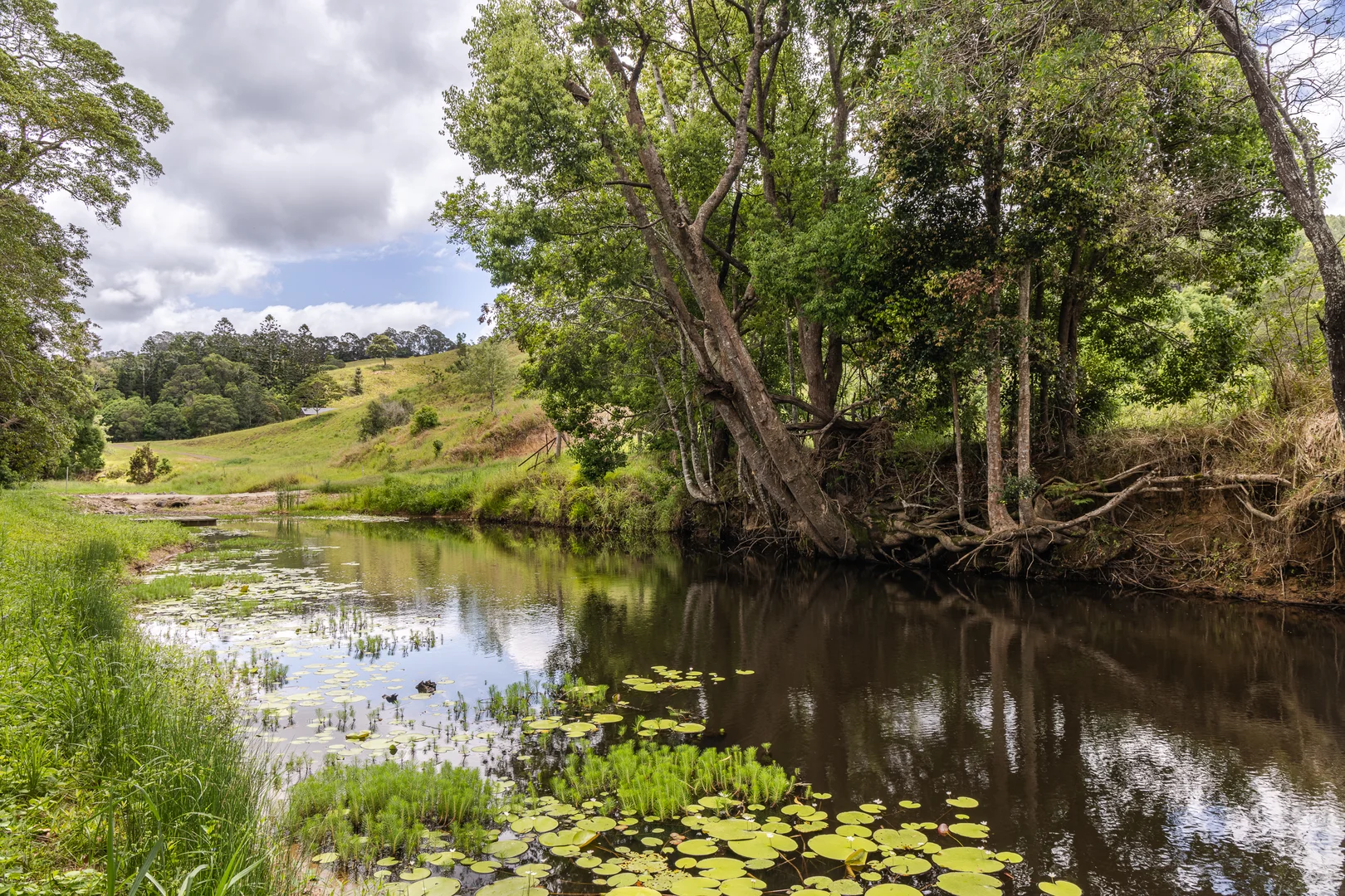 Additional image 35 of 157 Middle Creek Road, Federal QLD 4568