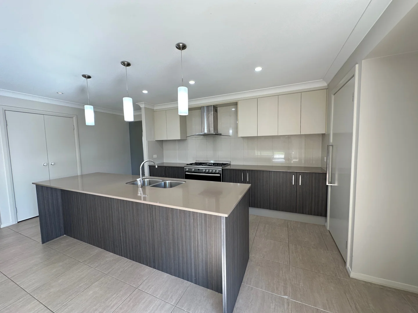 12 Dragonfly Dr, Chisholm NSW 2322 photo 2
