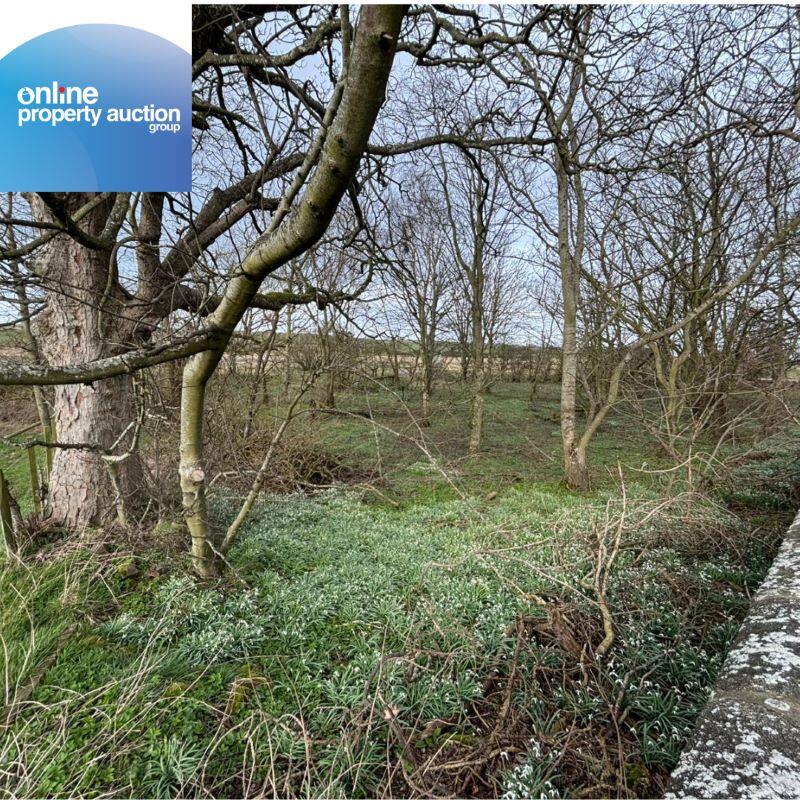 Additional image 2 of Tyrie Church Woodland, Fraserburgh, AB43 6SQ