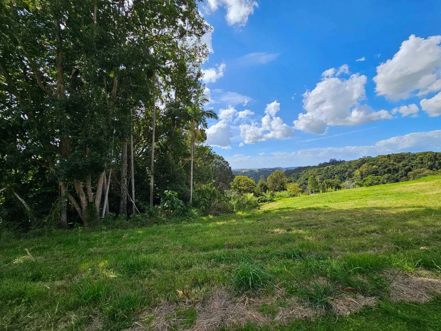 Additional image 6 of 9 Evergreen View, Bilambil Heights NSW 2486