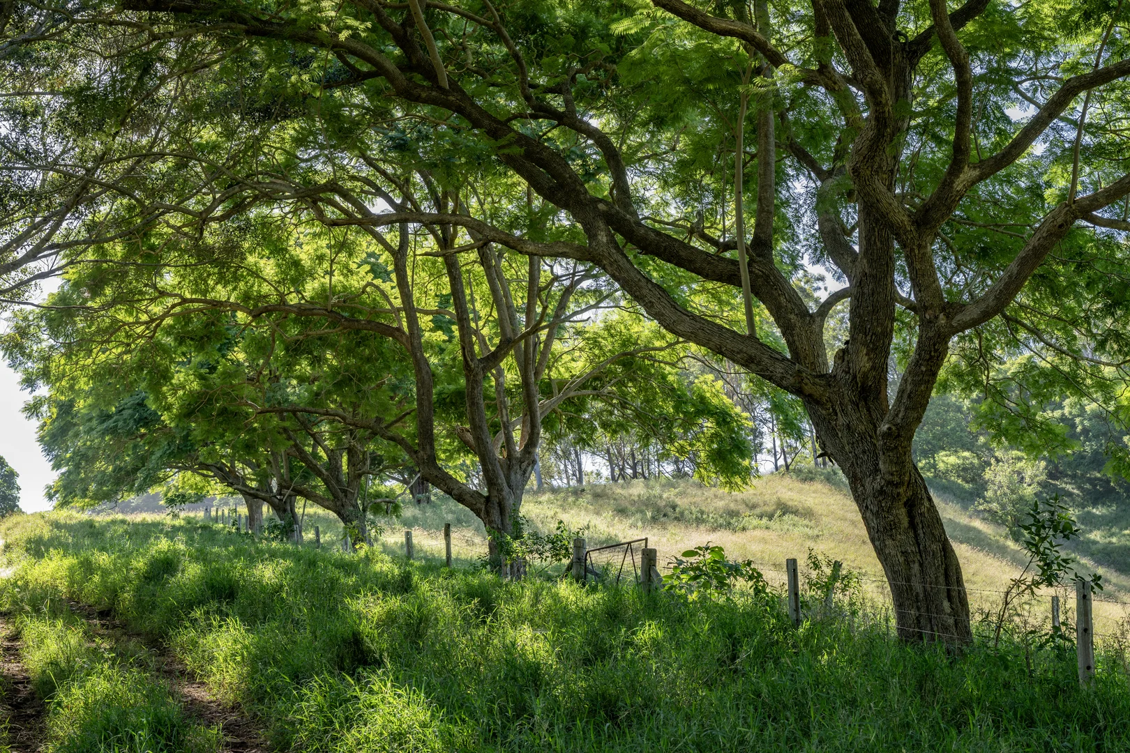 Additional image 7 of 55 Jerry Creek Road, Langshaw QLD 4570