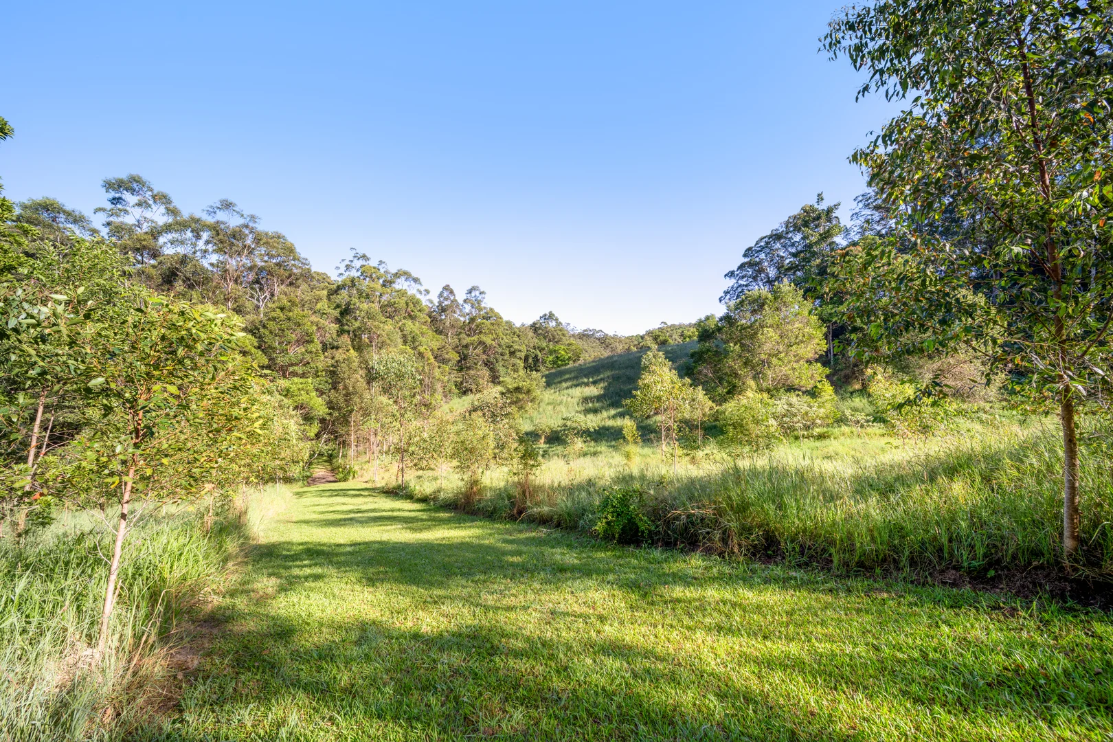 Additional image 30 of 24 Carroo Lane, Ridgewood QLD 4563
