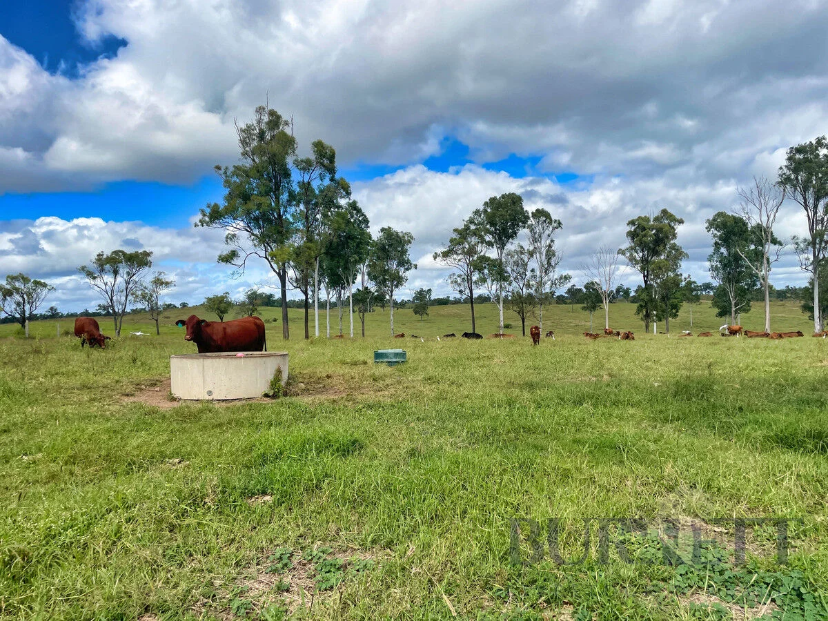 Additional image 10 of 595 Walla Road, Morganville QLD 4671