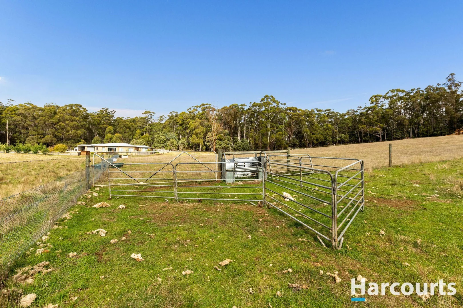 Additional image 30 of 203A Palmers Road, Latrobe TAS 7307
