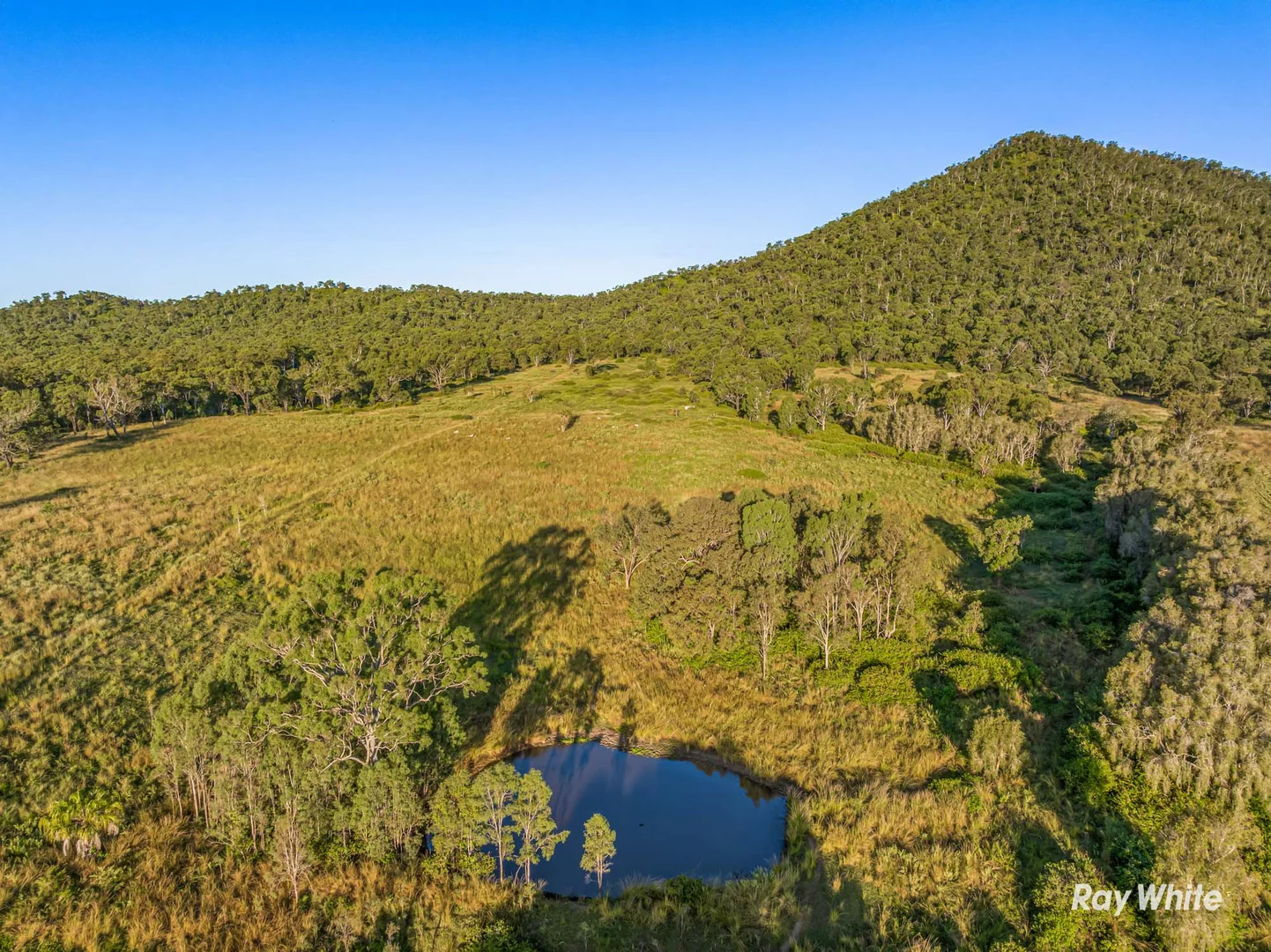 Additional image 25 of 217 Thompson Point Road, Nankin QLD 4701